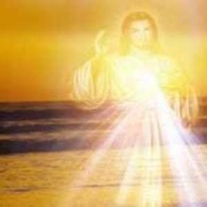 Meet your Posher, Davis